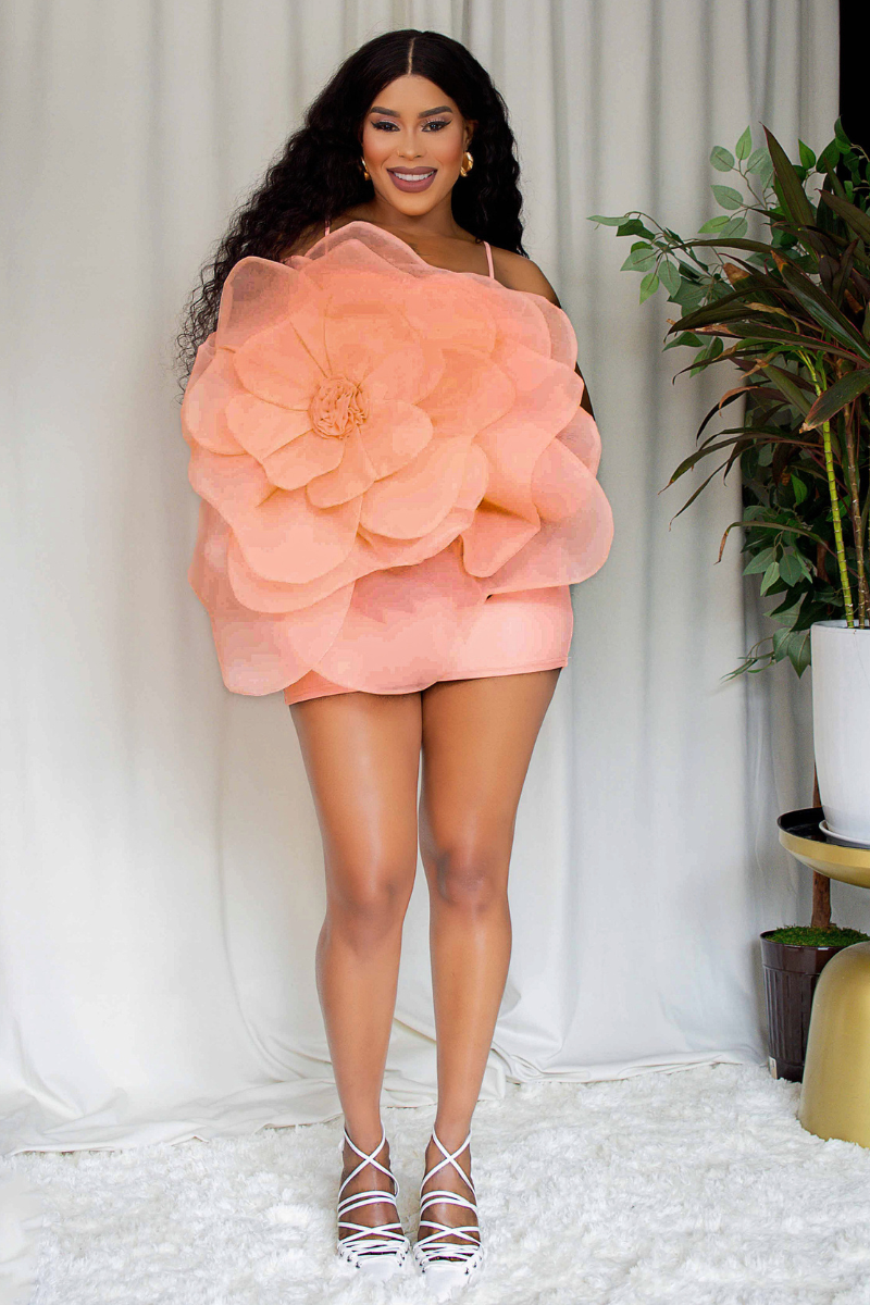 blossom mini dress Blossom Breeze Floral Mini Dress