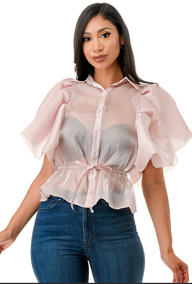 Luminous Elegance Blouse (FINAL SALE)