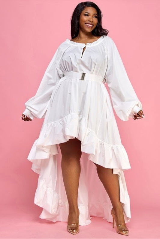 Ruffle Royale High Low Flare Dress (FINAL SALE)